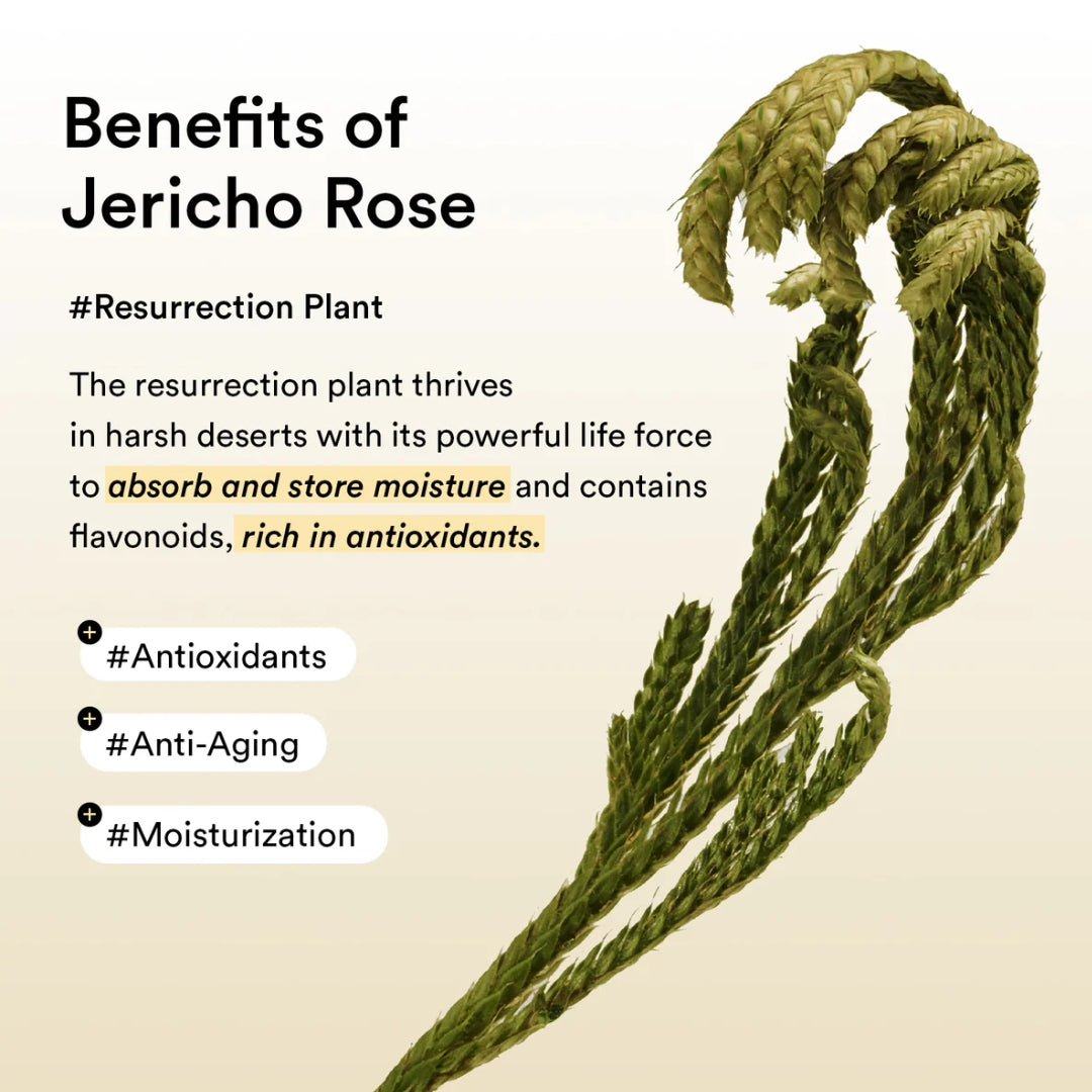 Parches Collagen eye patch rose jelly Jericho Abib