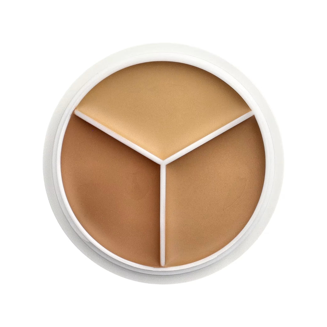 Corrector Cover Up Pro Multi Cover All Cover 15G Tfit